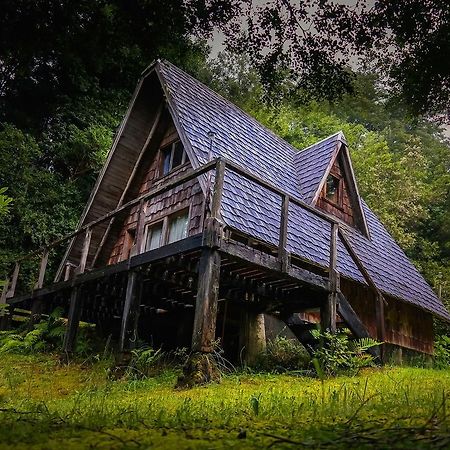 Ralun Patagonia Guest House Luaran gambar
