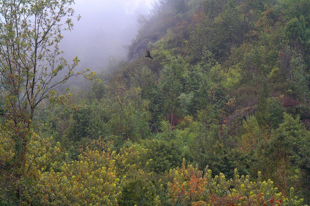 Ralun Patagonia Guest House Luaran gambar