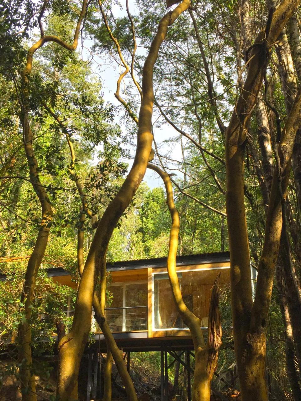 Ralun Patagonia Guest House Luaran gambar